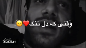 اجرای اهنگ سیاوش قمیشی توسط تت...