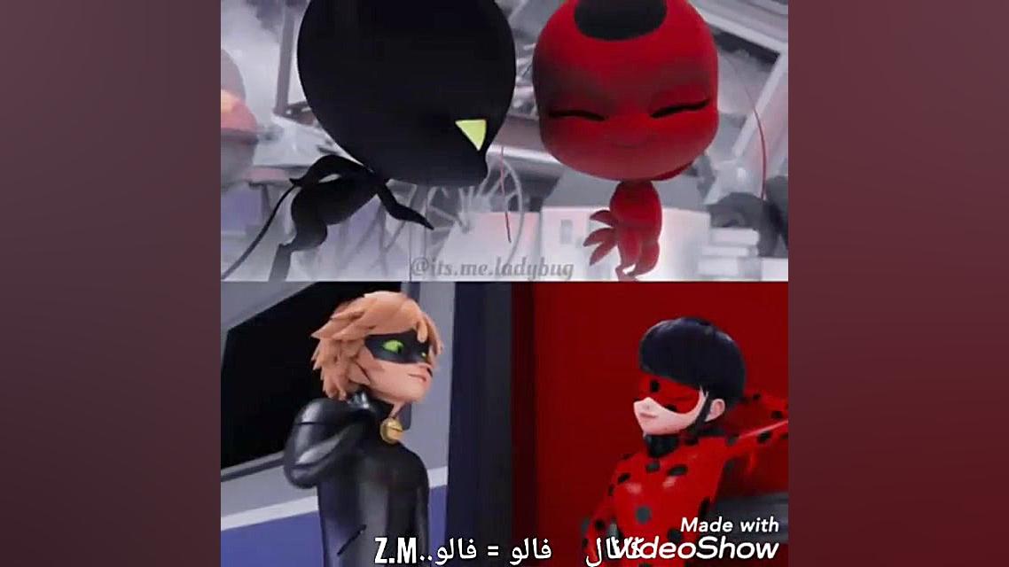 شباهت های دختر کفشدوزکی گربه ی...