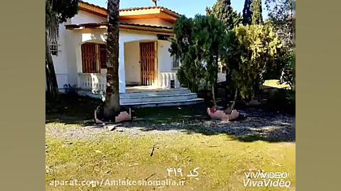 زمین ساحلی ،تجاری در شمال