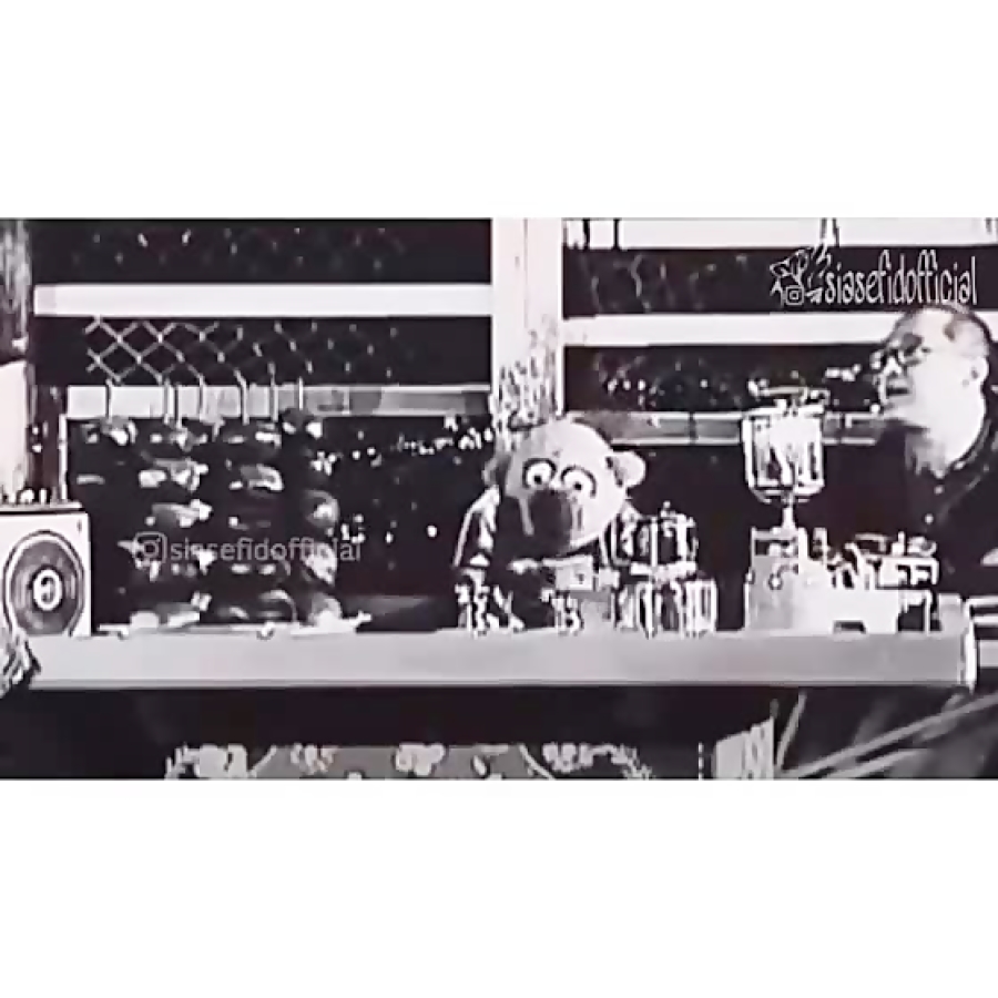 این دل کجای ادمه آخه