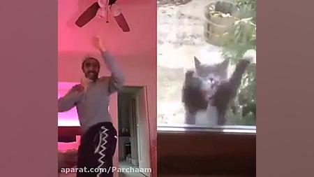 طنزرقص گریه وانسان