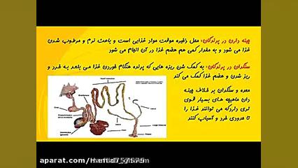 تدریس فصل سیزدهم علوم هفتم