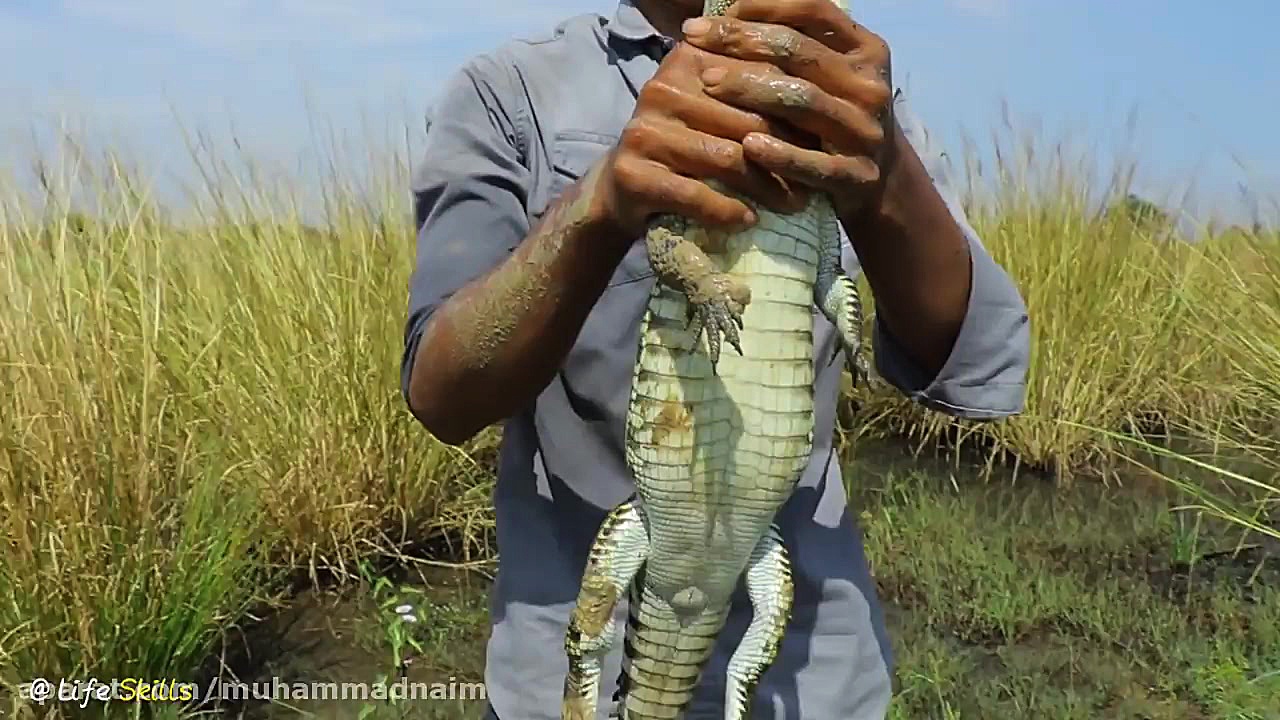 عجیب اما واقعی