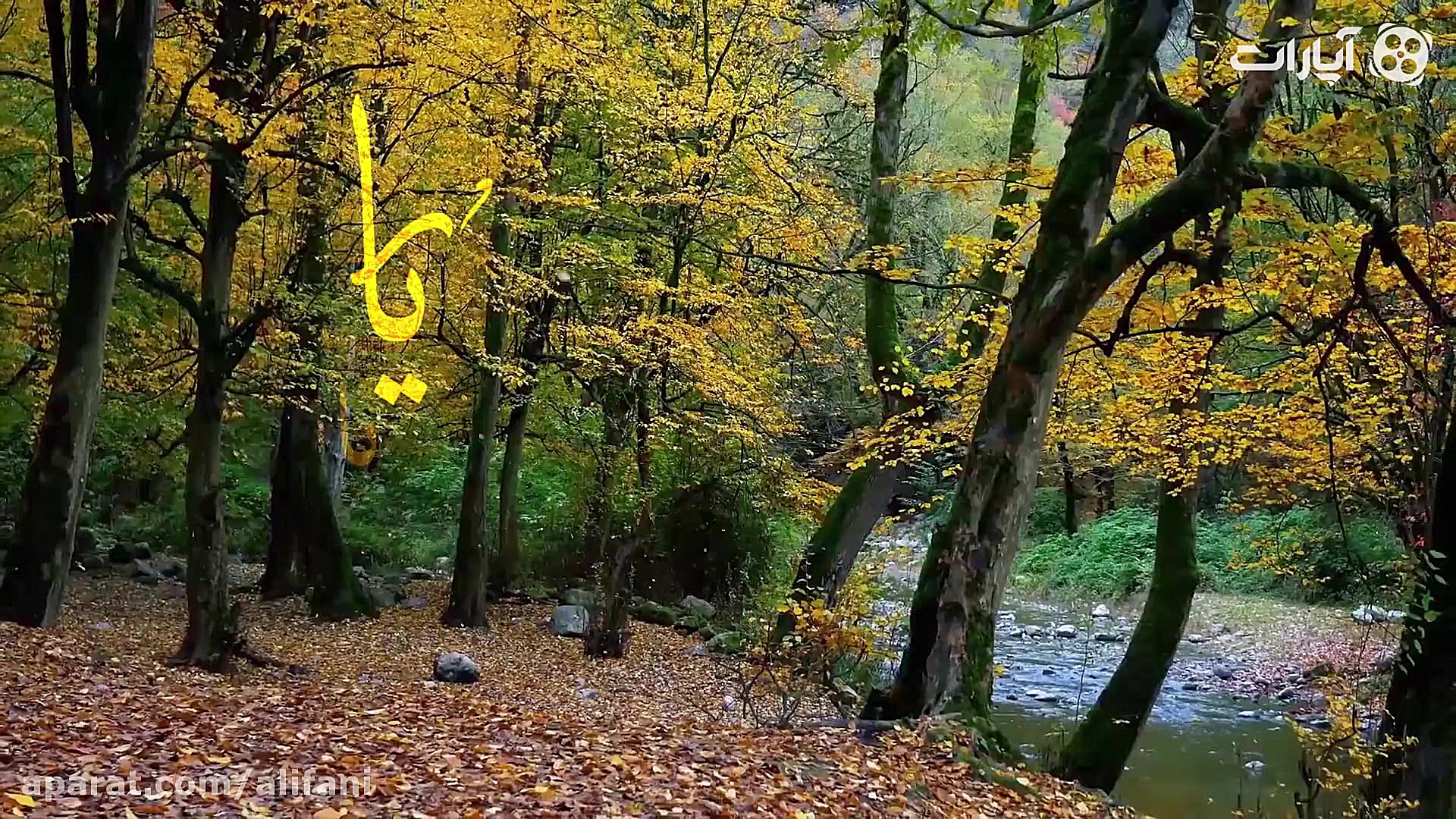 یا رب العالمین  علی فانی