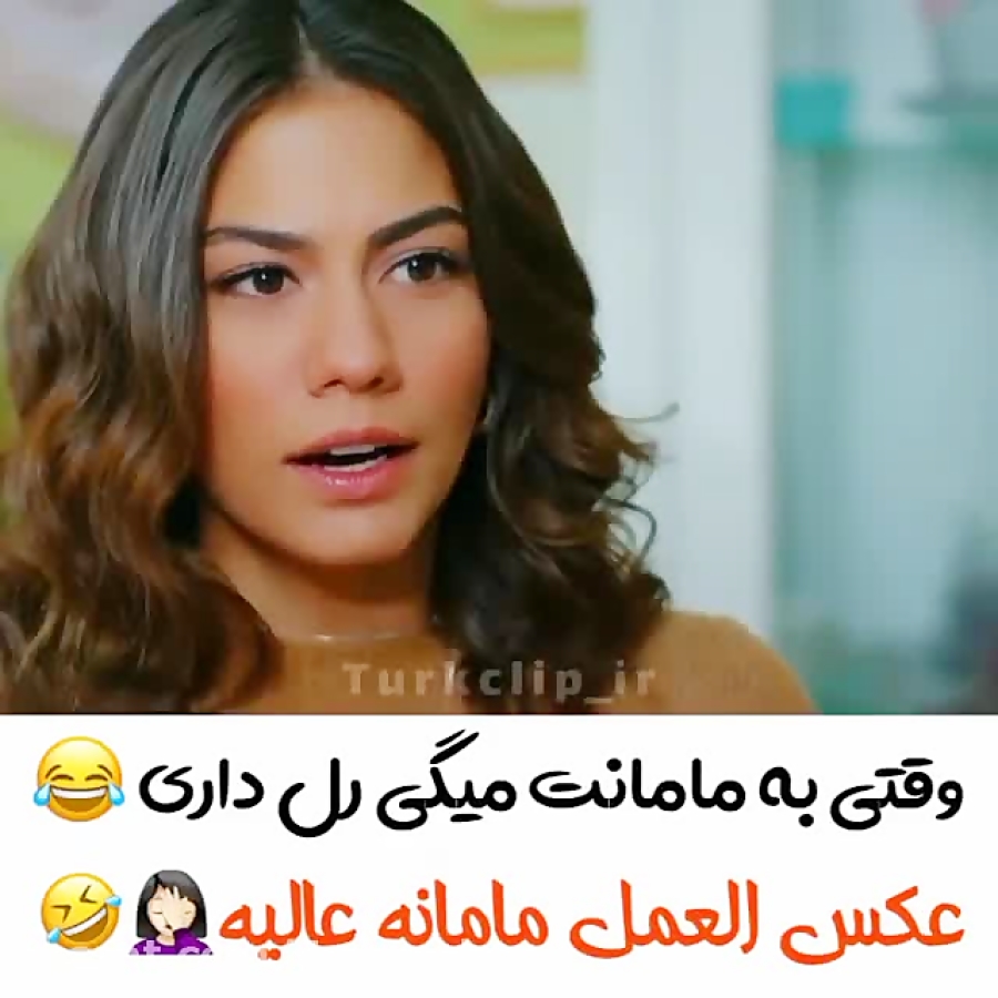 پرنده سحرخیز