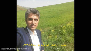 روانشناسی | مشاوره | ای اف تی