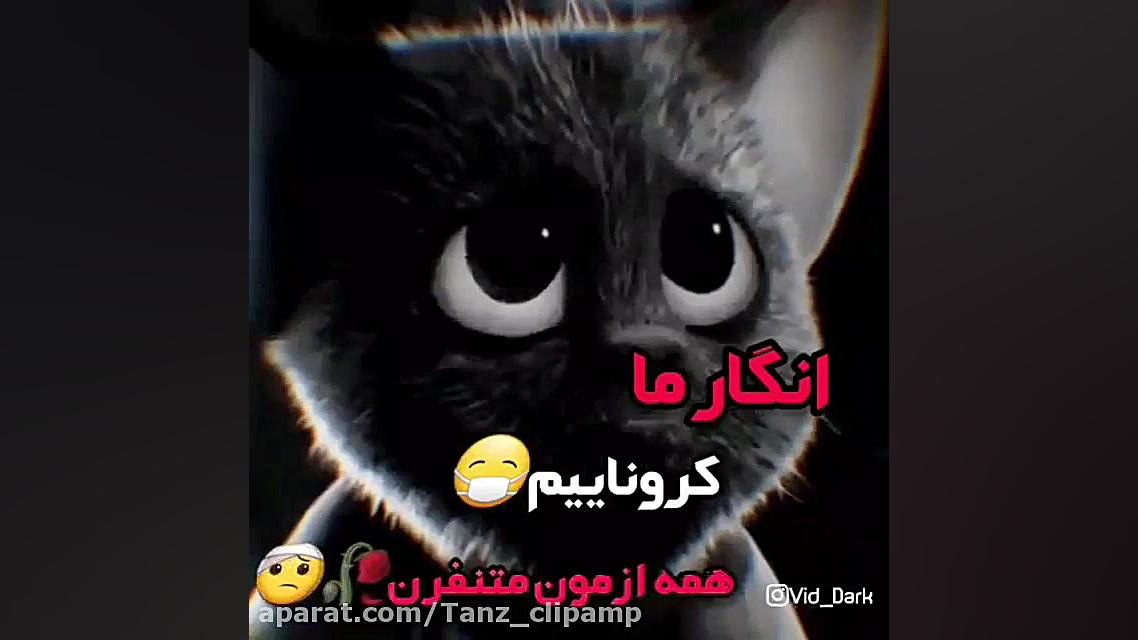 فیلم کرونا غمگین خفاش لاتی اهن...