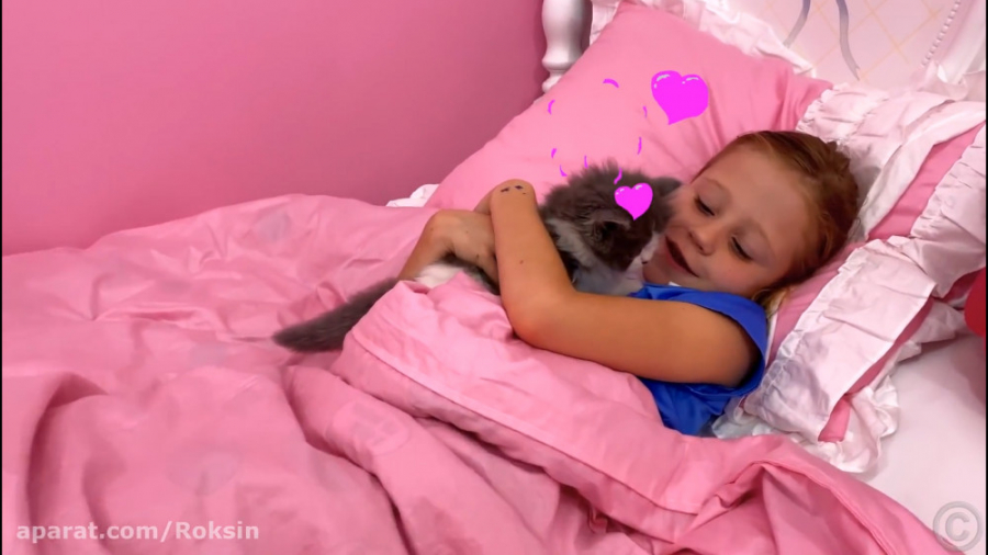 ناستیا :: روزمرگی های گربه ای...