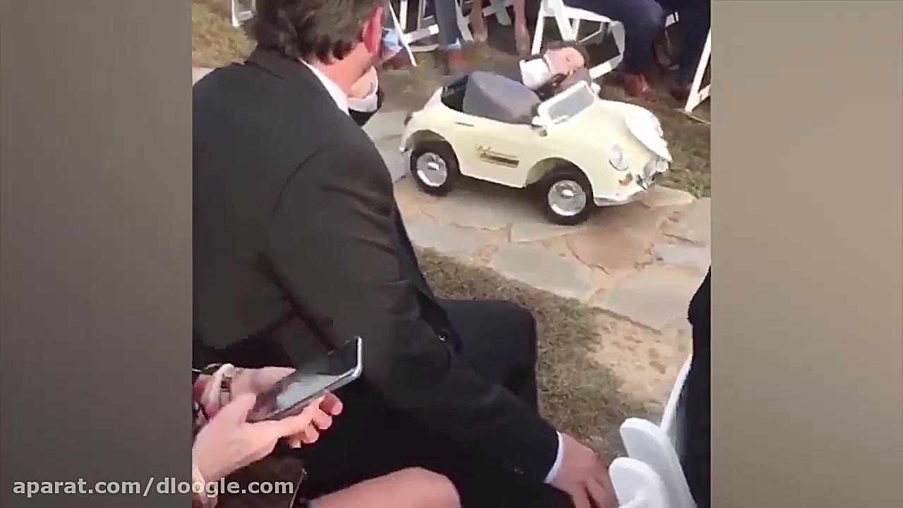 دختران گل و حلقه های خرس