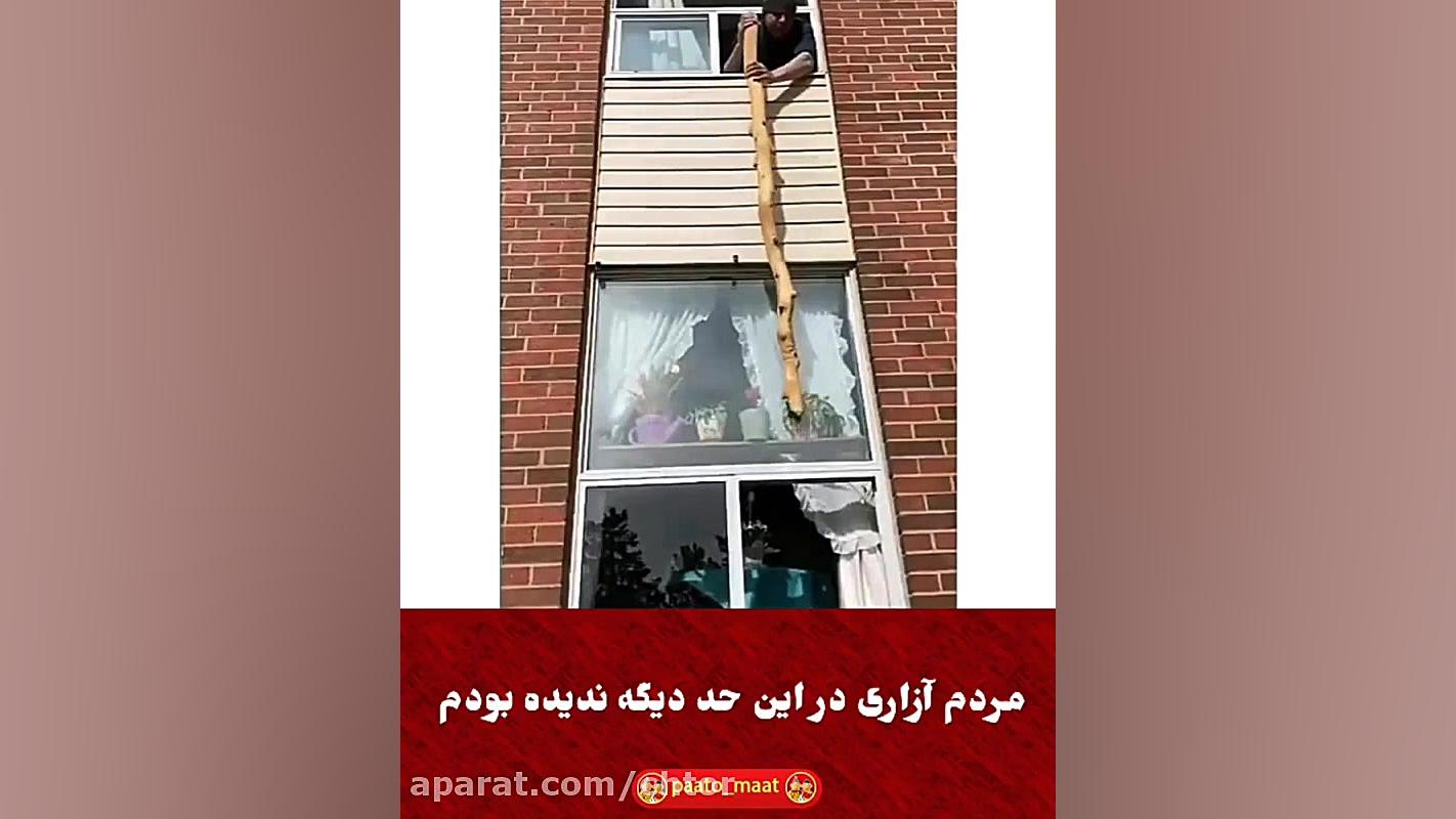 مردم آزاری در این حد دیگه ندید...