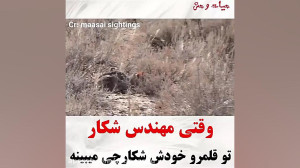 وقتی مهندش شکار تو قلمرو خودش...