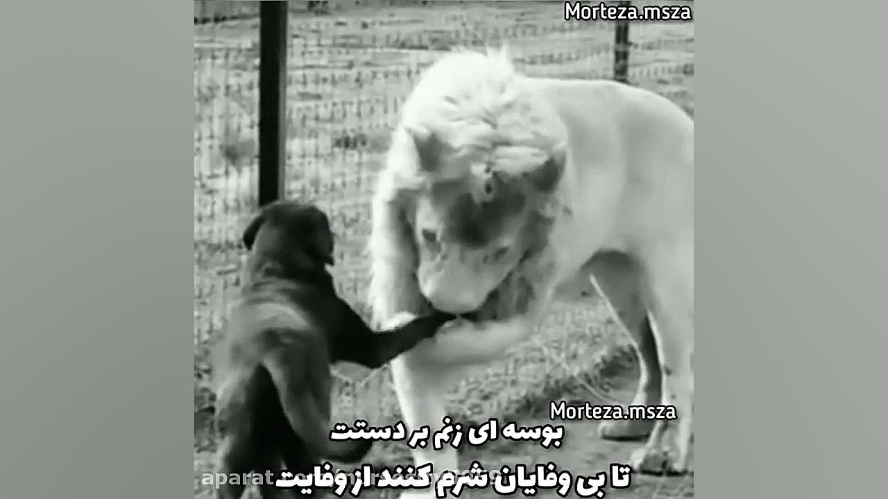 اهنگ عاشقانه  کلیپ عاشقانه  اه...