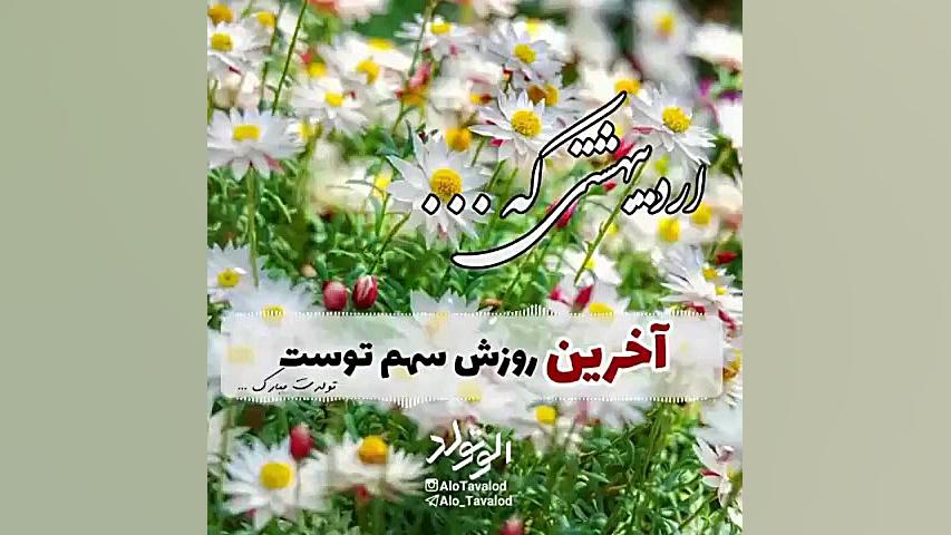 کلیپ تبریک تولد ۳۱ اردیبهشت |...