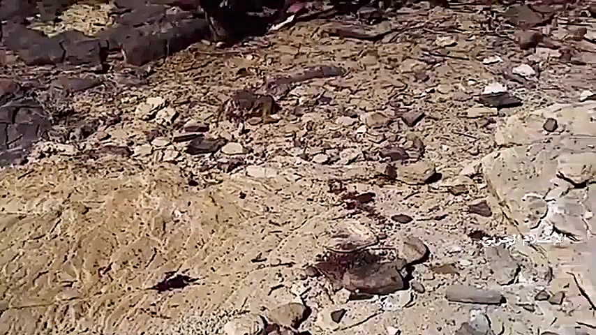 قدرت نمایی هالیوودی رزمندگان ی...