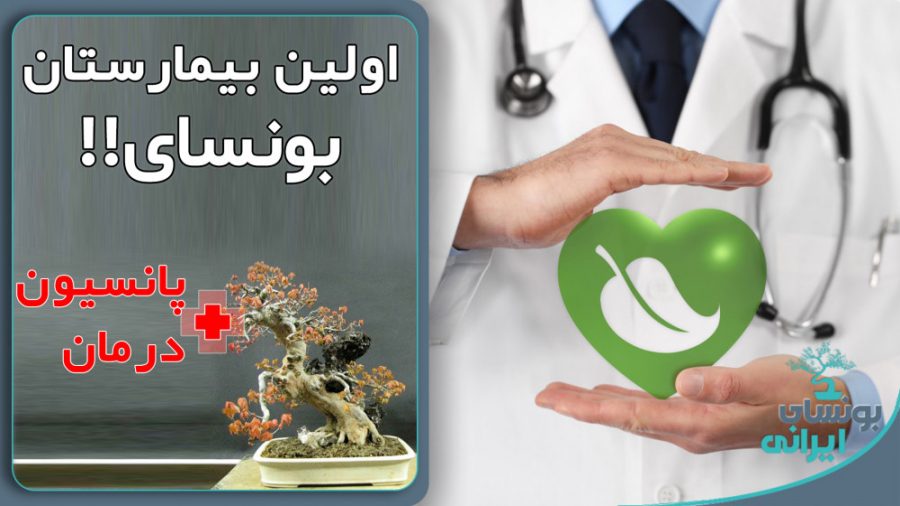 اگر گیاهانمون بیمار شدن چیکار...