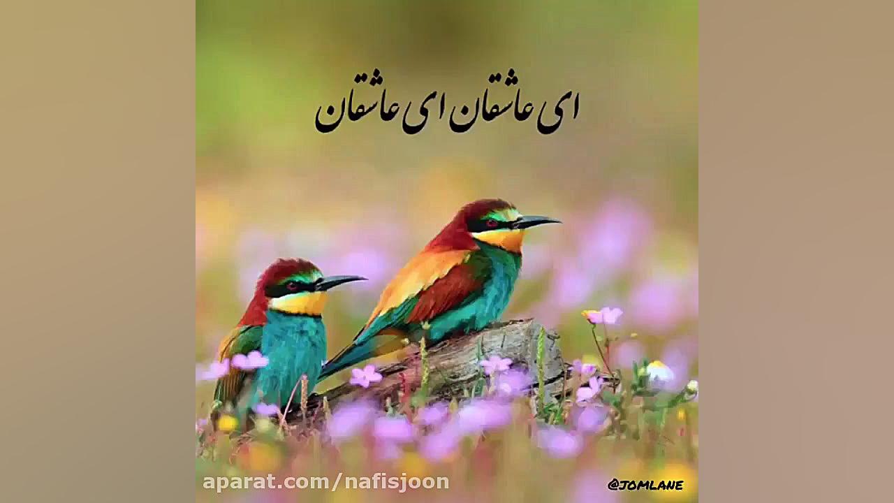 کلیپ استوری عید فطر