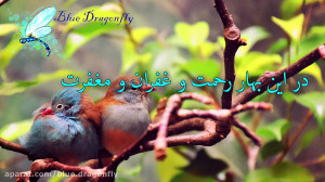 کلیپ تبریک عید فطر تبریک عید ف...