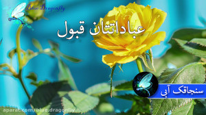 کلیپ تبریک عید فطر تبریک عید ف...
