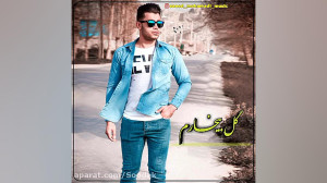 لری سعید محمدی