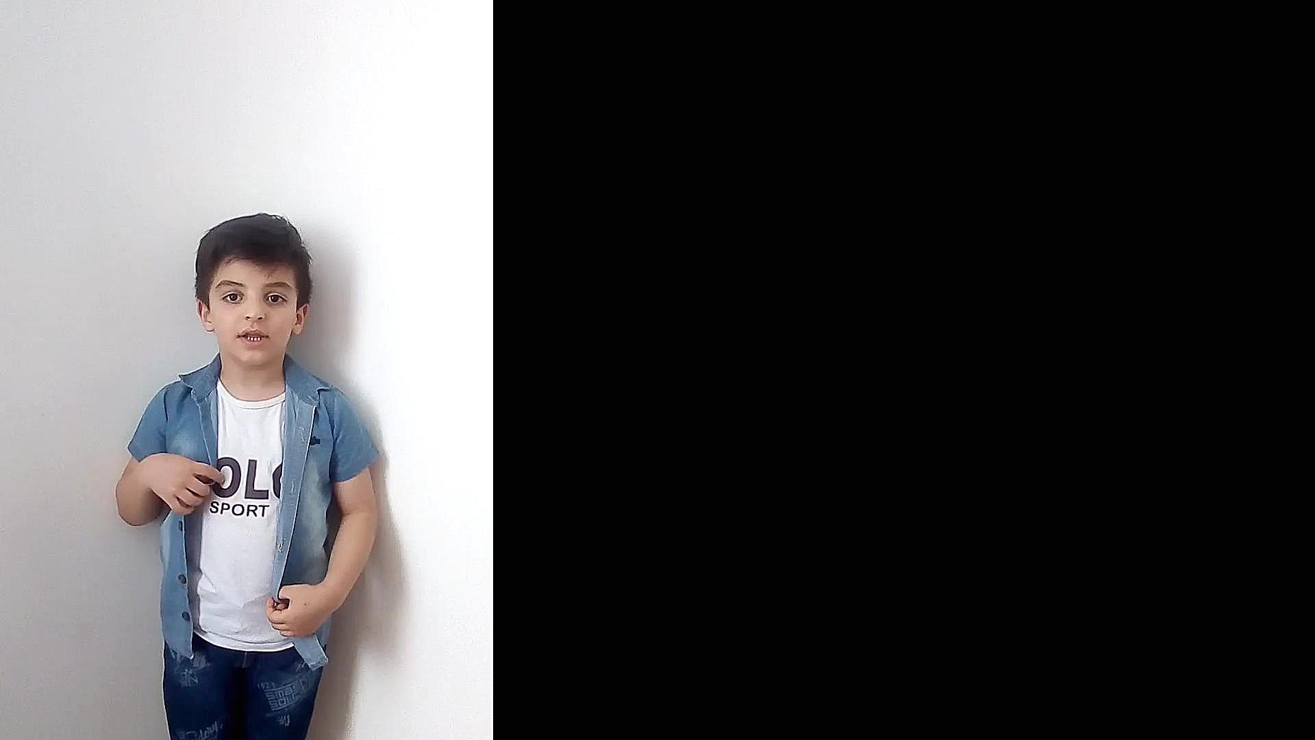 امیر محمد صبوری