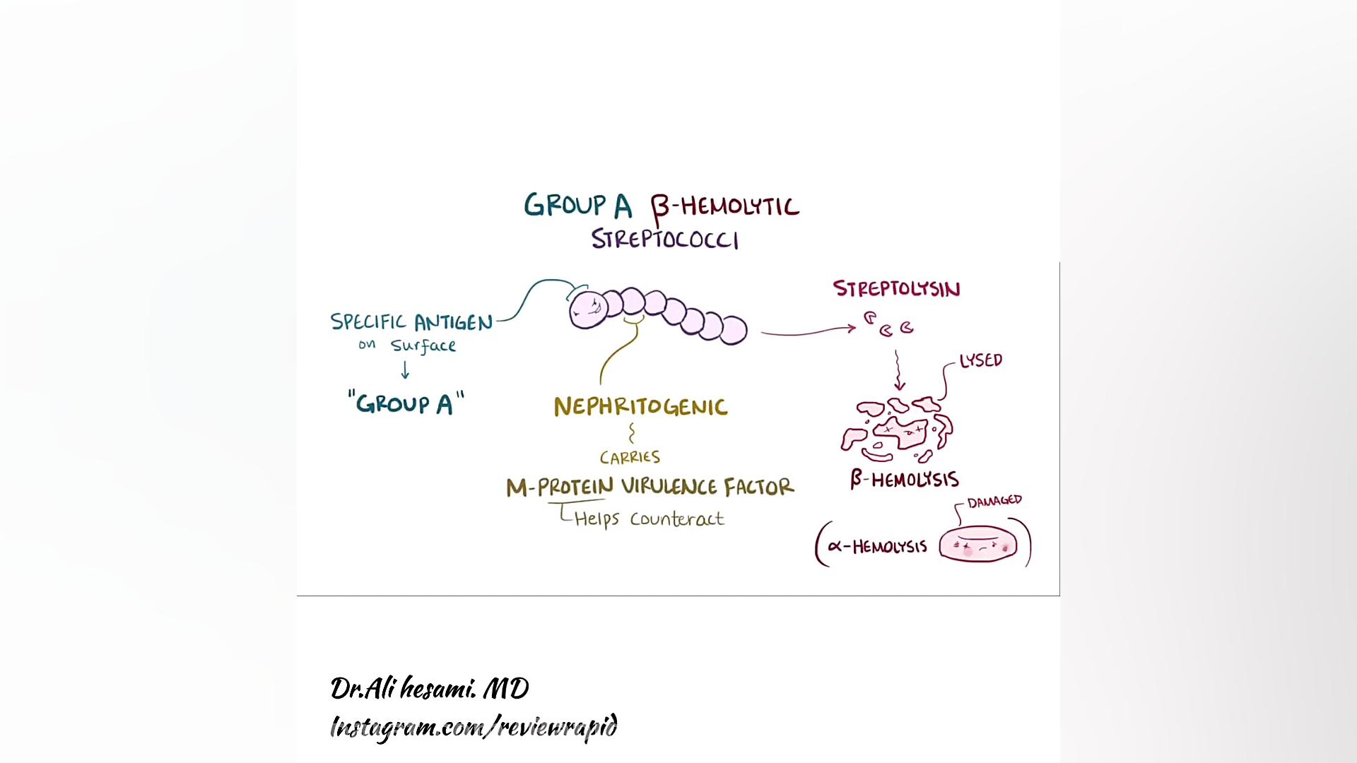 بیماری گلومرولونفریت قسمت پنجم...