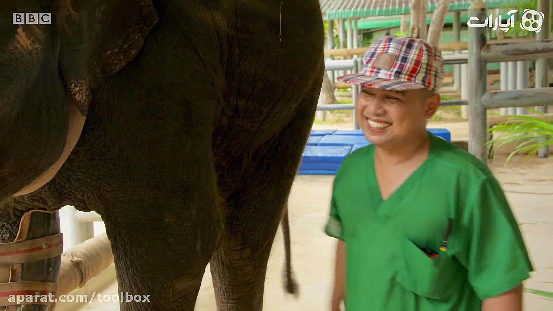 خوشحالی یک فیل از پای مصنوعیش