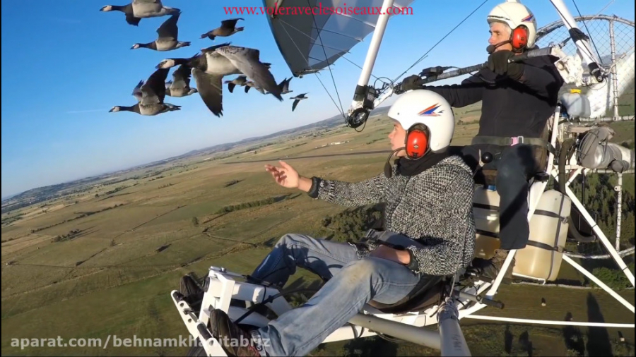 دانلود (پروازهای شگفت انگیز با...