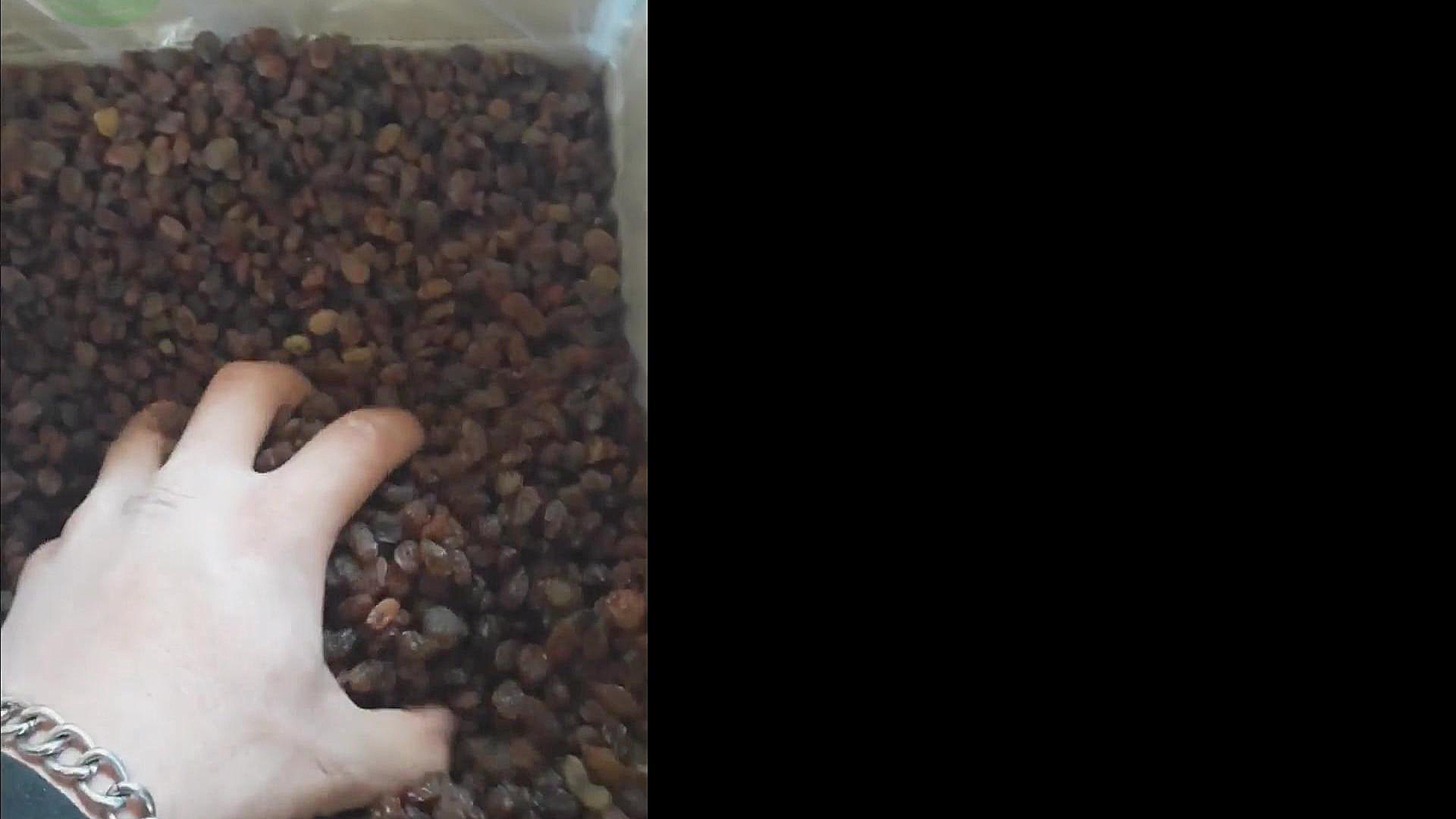 کشمش پلویی تاکستان