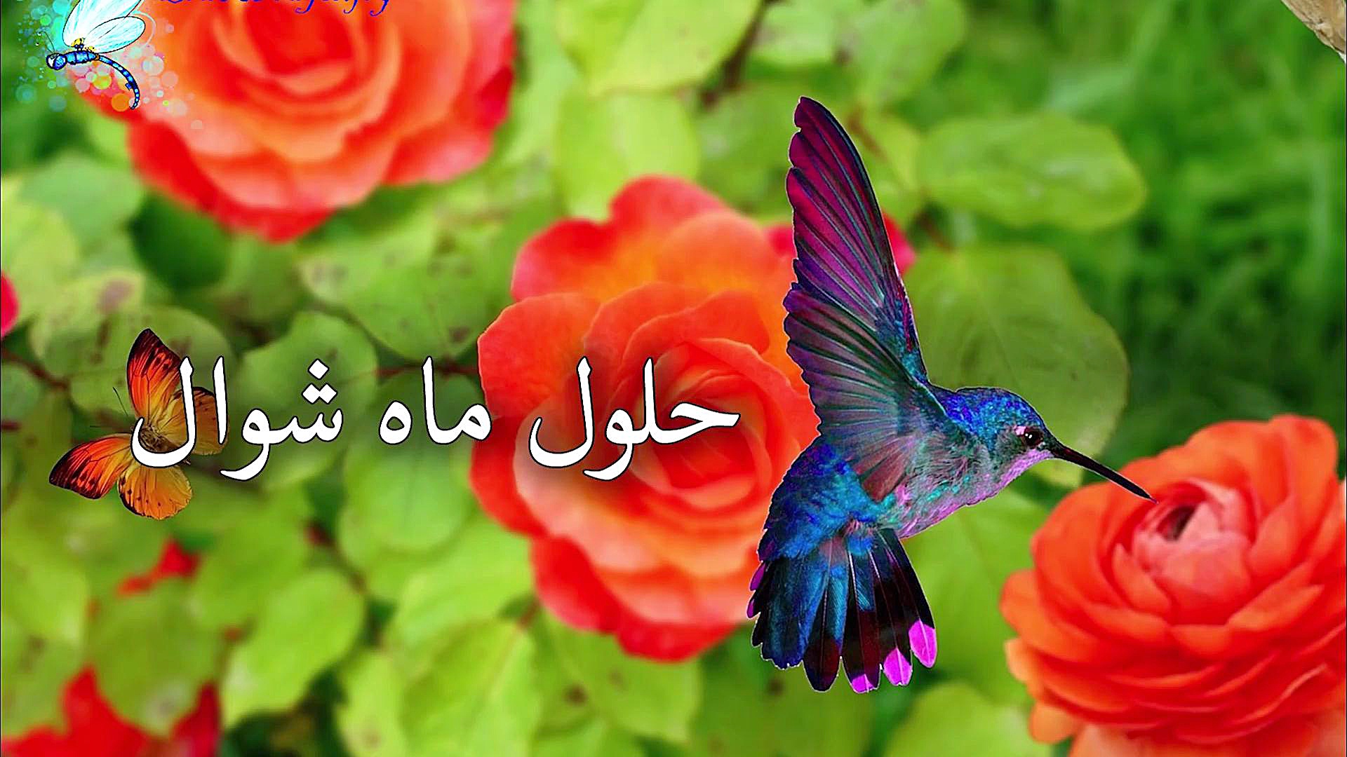 کلیپ تبریک عید فطر تبریک عید ف...