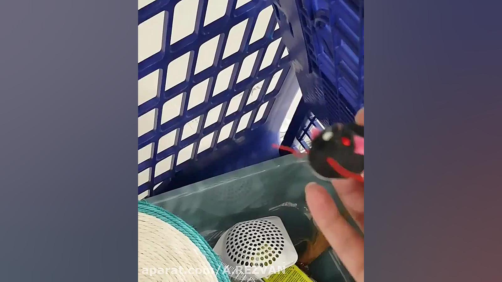 ست مراقبت از گربه خانگی امید د...