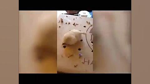 جدید  فقط برای خنده : کلیپ های...