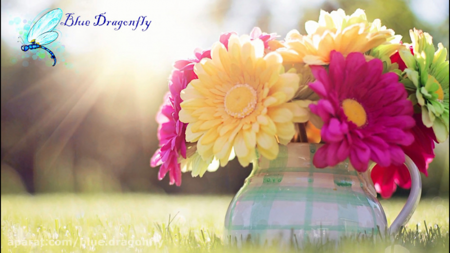 کلیپ تبریک عید  کلیپ عاشقانه ت...