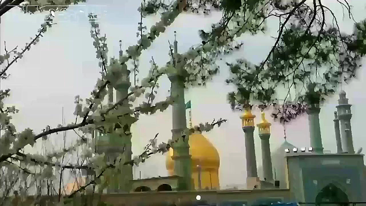 کلیپ تبریک ولادت امام زمان و ع...