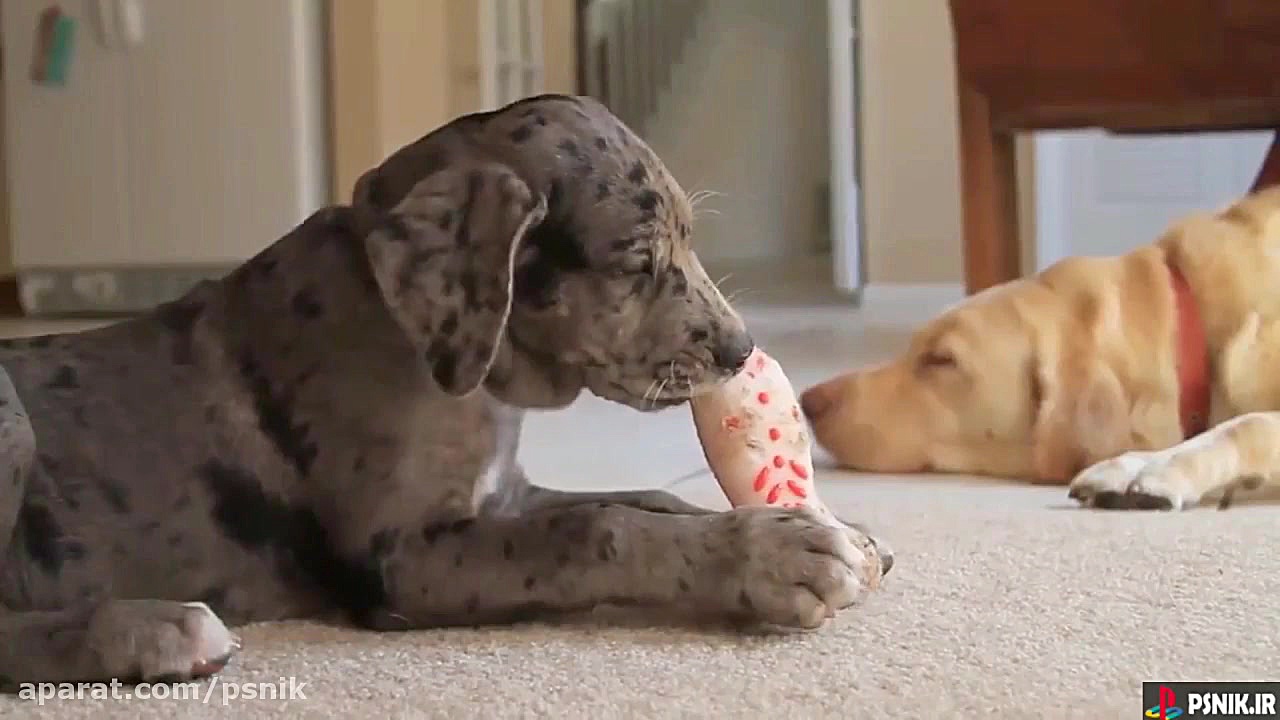 10 کار خطرناک که نباید برای PS...