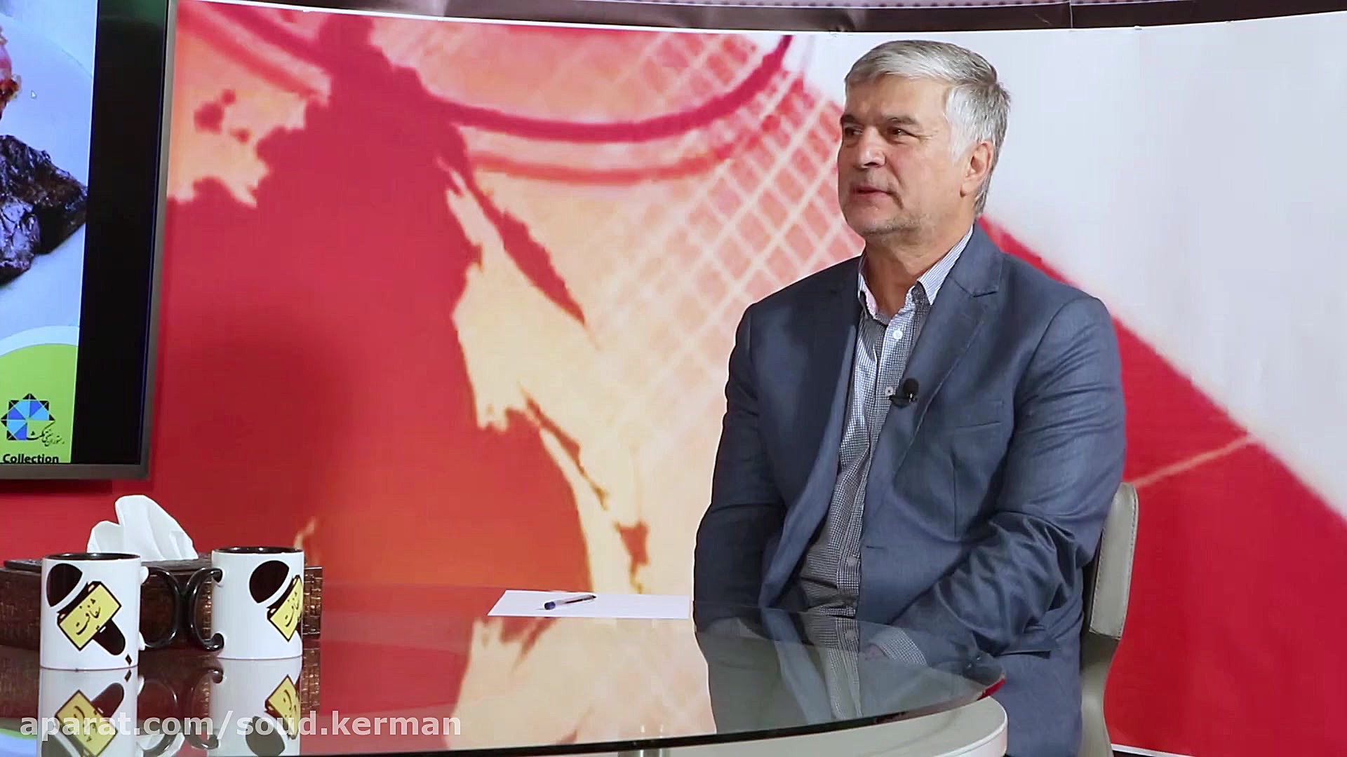 گفتگوی tvشفافیت با نژادزمانی م...