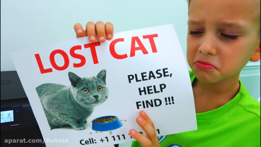 ولاد و نیکی در جستجوی بچه گربه...
