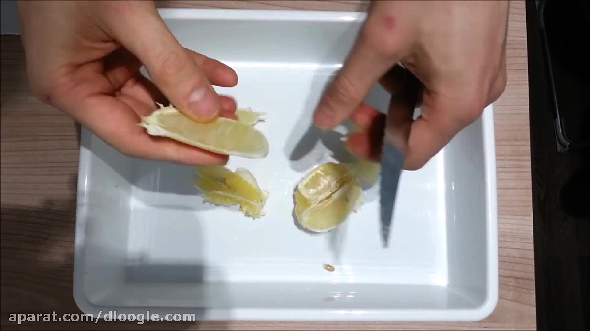 طرز جوانه زدن لیمو ، پرتقال و...