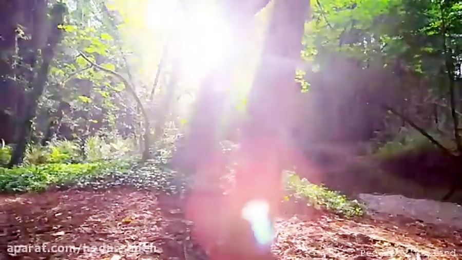 طبیعت زیبا با آهنگ آرامش بخش