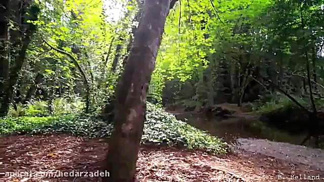 طبیعت زیبا با آهنگ آرامش بخش