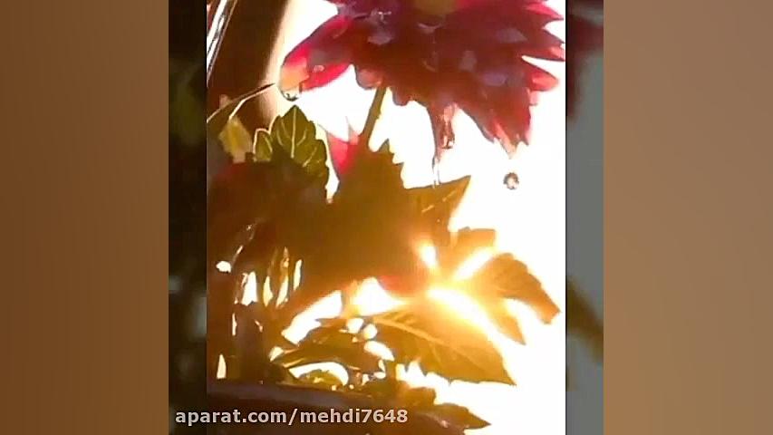 دکلمه خرداد ماهی