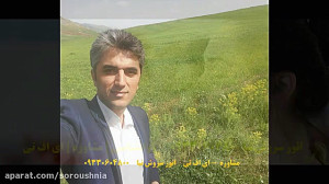 روانشناسی | مشاوره | ای اف تی