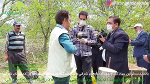 ایران گردو | گزارش خبرگزاری صد...