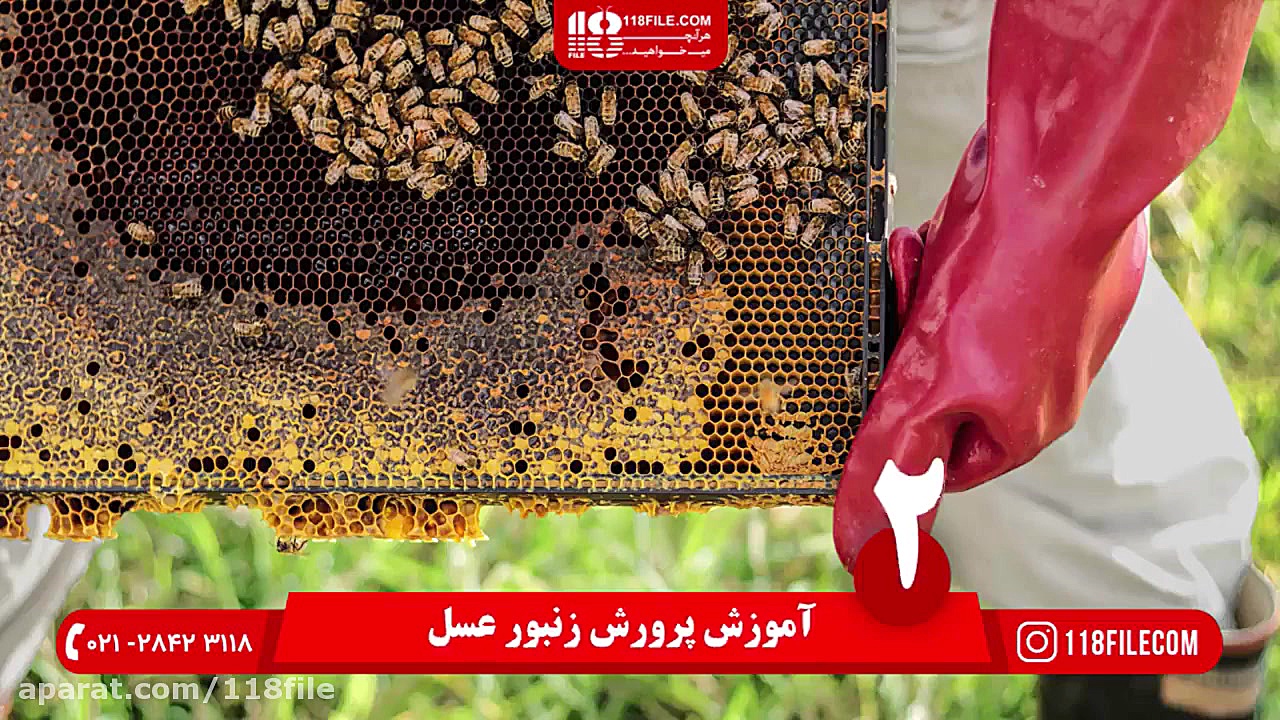 آموزش زنبورداری نوین | طرح پرو...