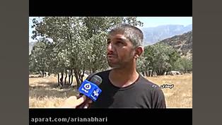 آتش سوزی ارتفاعات گچساران