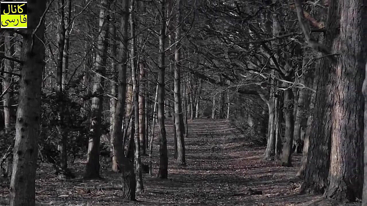 9 مکان مرموز، ممنوعه, نفرین شد...