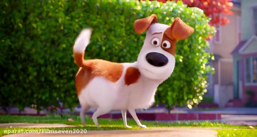 انیمیشن زندگی خصوصی حیوانات خا...