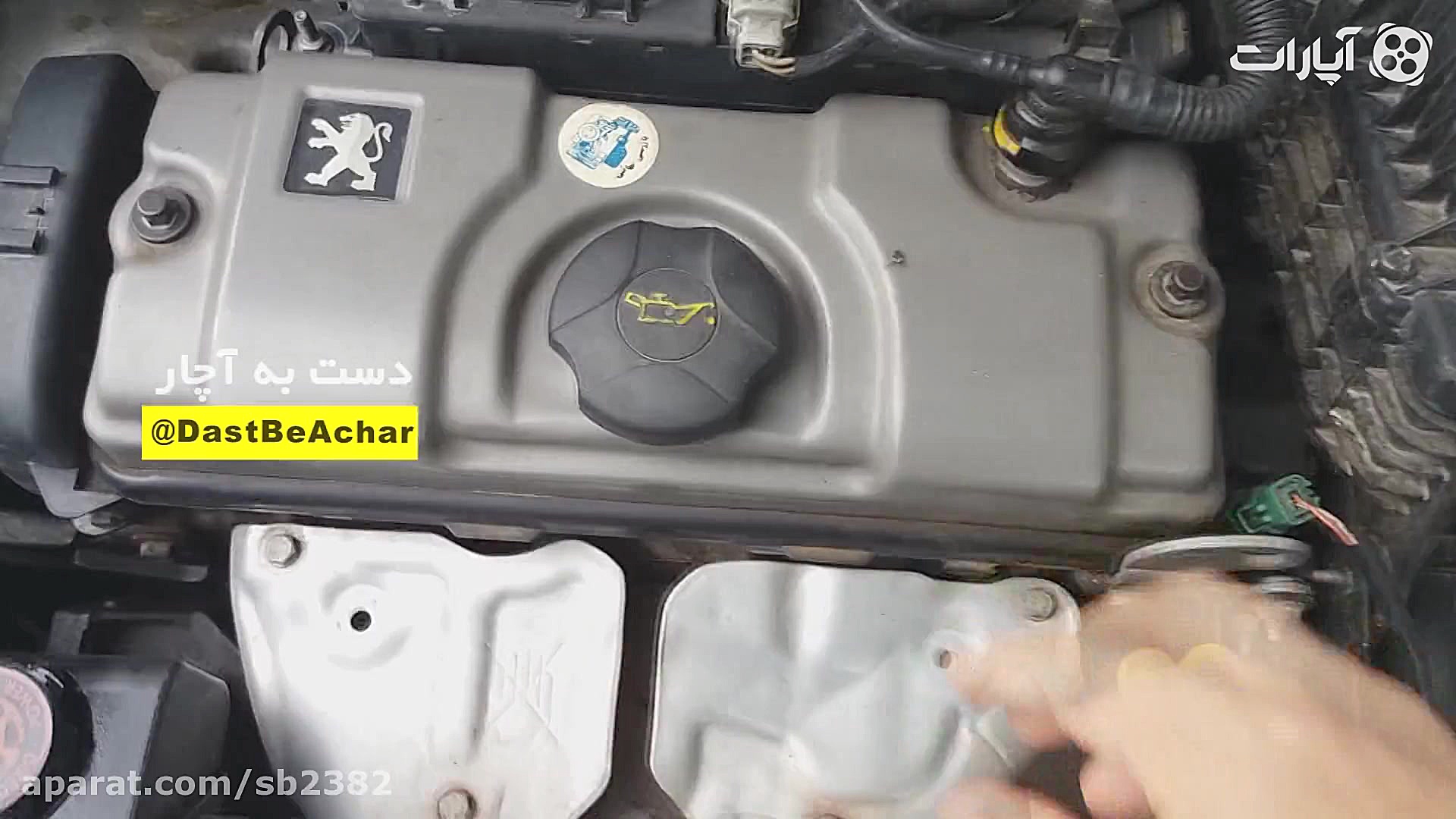 دلیل جوش آوردن 206 به صورت لحظ...