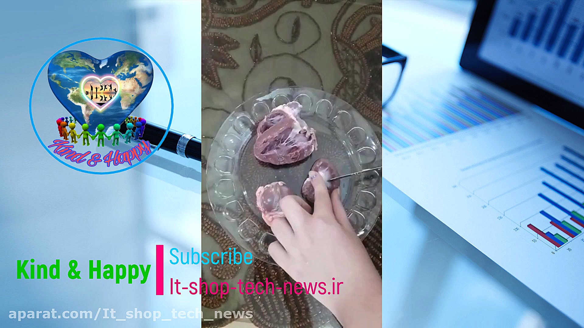 تشریح کلیه و قلب