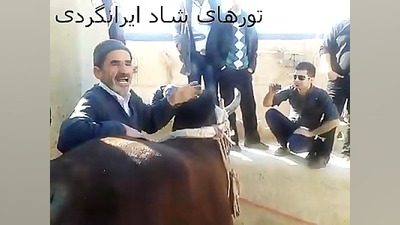 گاو چاه در کویر ورزنه اصفهان