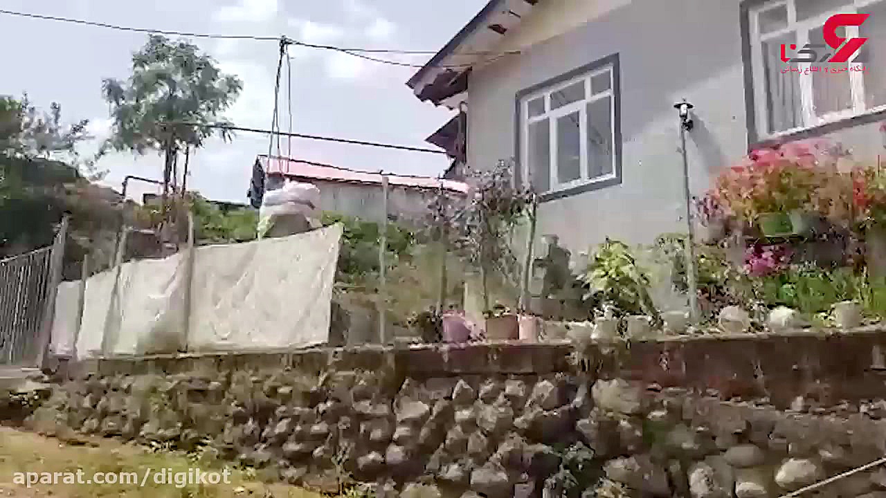 رومینا اشرفی در این خانه توسط...